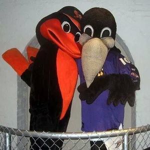 Meet your Posher, Andrew